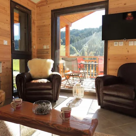 T3 Aux Gets, Vue Sur Pistes *